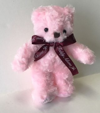 テディアダムス Jr. Mサイズ ピンク テディベア くまのぬいぐるみ
